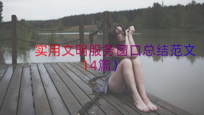 实用文明服务窗口总结范文（14篇）