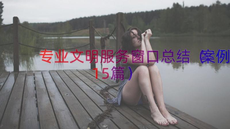 专业文明服务窗口总结案例