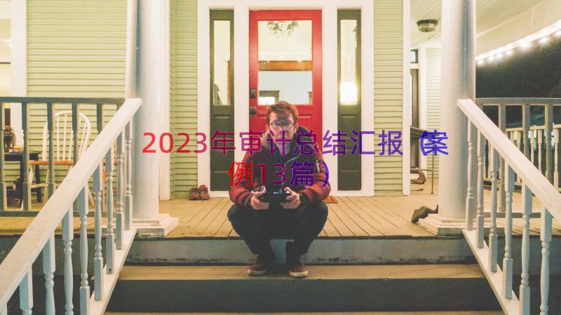 2023年审计总结汇报案例