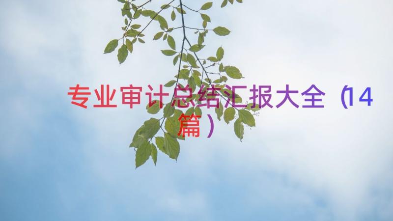 专业审计总结汇报大全（14篇）