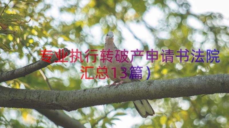 专业执行转破产申请书法院（汇总13篇）