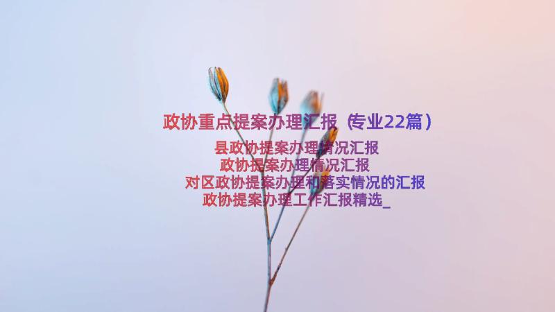 政协重点提案办理汇报（专业22篇）