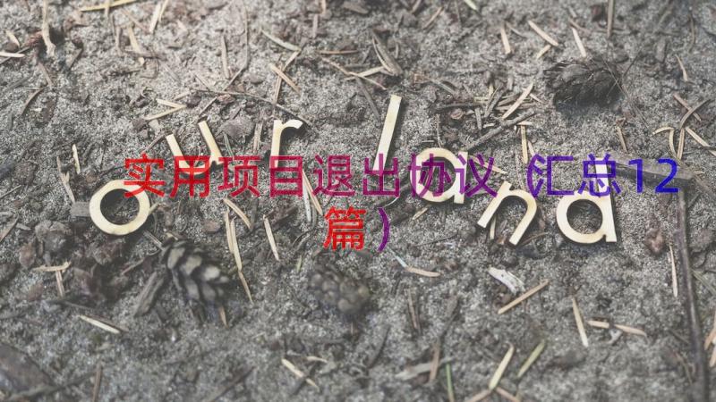 实用项目退出协议（汇总12篇）