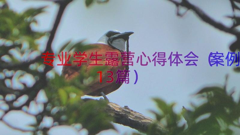 专业学生露营心得体会（案例13篇）