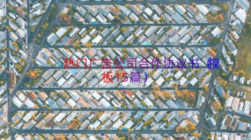 热门广告公司合作协议书（模板15篇）