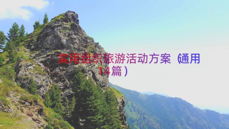 实用组织旅游活动方案通用