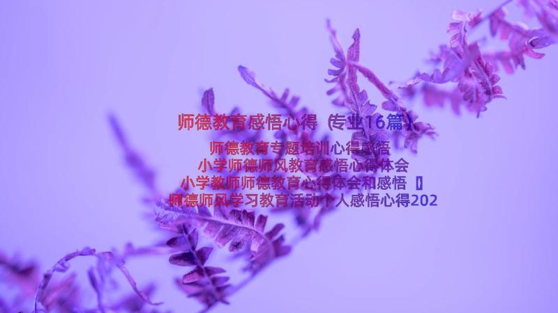 师德教育感悟心得（专业16篇）