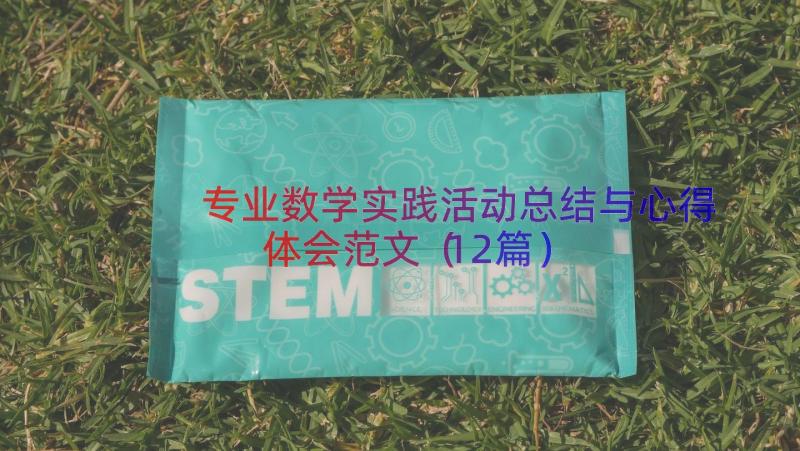 专业数学实践活动总结与心得体会范文（12篇）