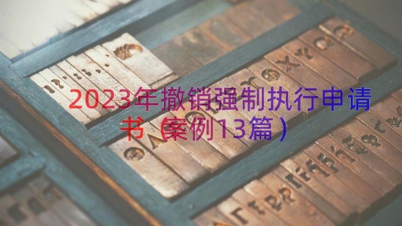 2023年撤销强制执行申请书（案例13篇）