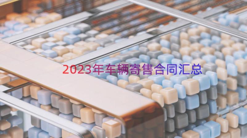 2023年车辆寄售合同（汇总17篇）