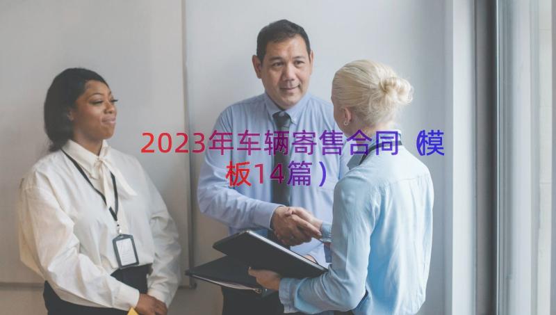 2023年车辆寄售合同（模板14篇）