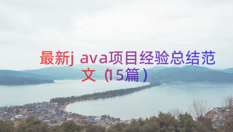 最新java项目经验总结范文（15篇）