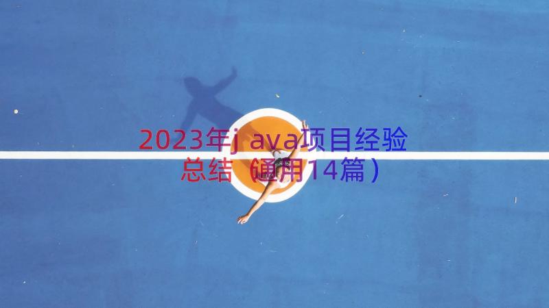 2023年java项目经验总结（通用14篇）