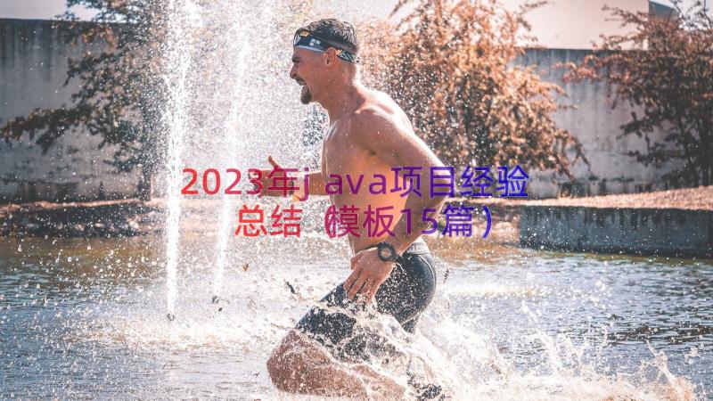 2023年java项目经验总结（模板15篇）