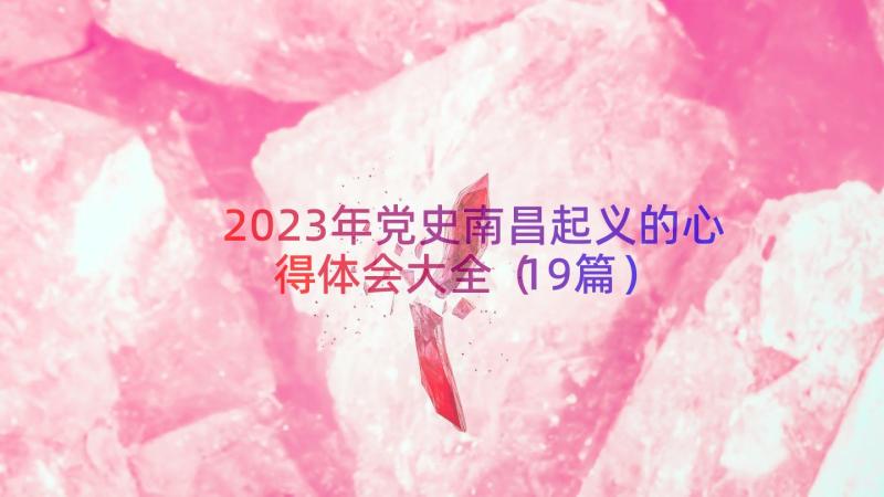 2023年党史南昌起义的心得体会大全（19篇）