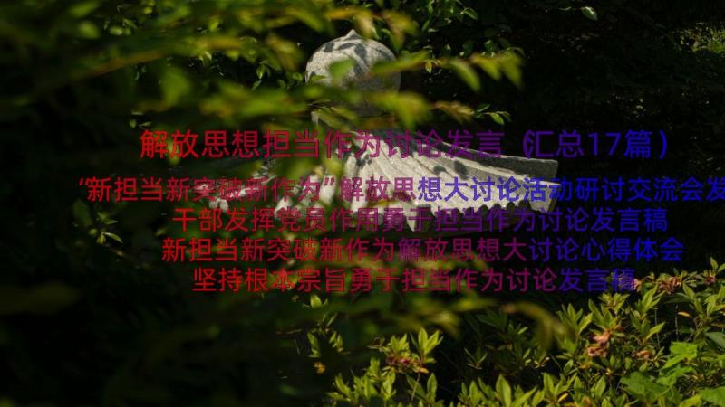 解放思想担当作为讨论发言（汇总17篇）