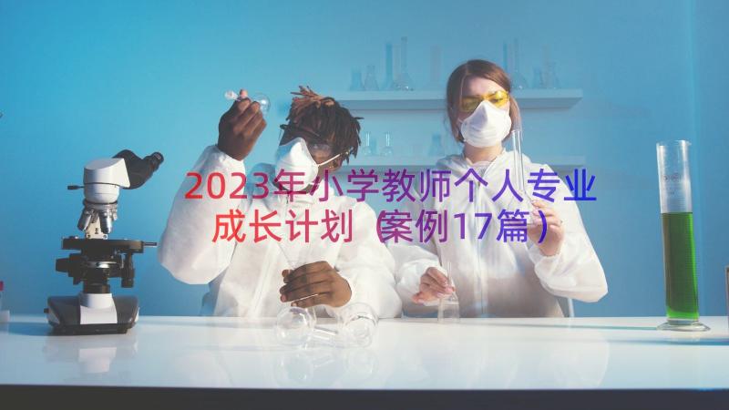 2023年小学教师个人专业成长计划（案例17篇）