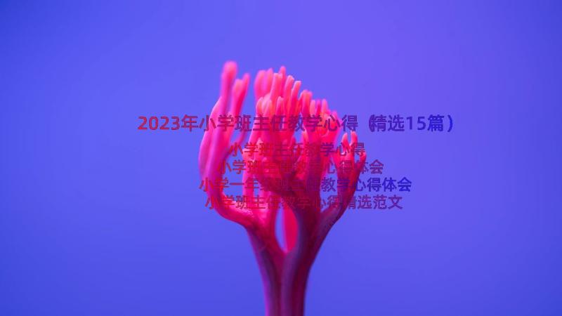 2023年小学班主任教学心得（精选15篇）