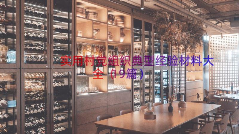 实用村党组织典型经验材料大全（19篇）