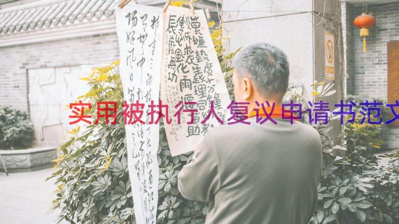 实用被执行人复议申请书范文（18篇）