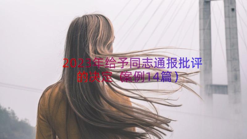 2023年给予同志通报批评的决定（案例14篇）