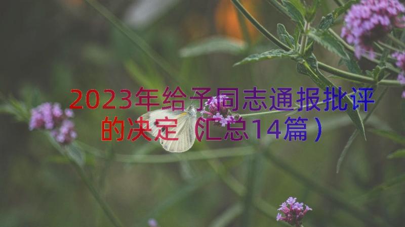 2023年给予同志通报批评的决定（汇总14篇）