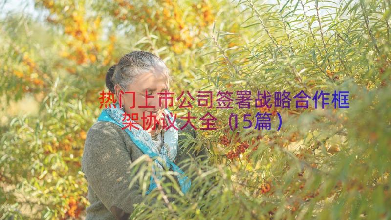 热门上市公司签署战略合作框架协议大全（15篇）