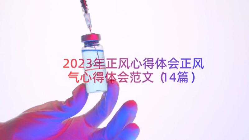 2023年正风心得体会正风气心得体会范文（14篇）