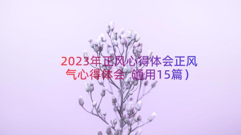 2023年正风心得体会正风气心得体会（通用15篇）