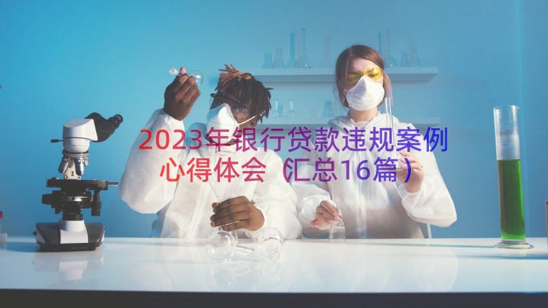 2023年银行贷款违规案例心得体会（汇总16篇）