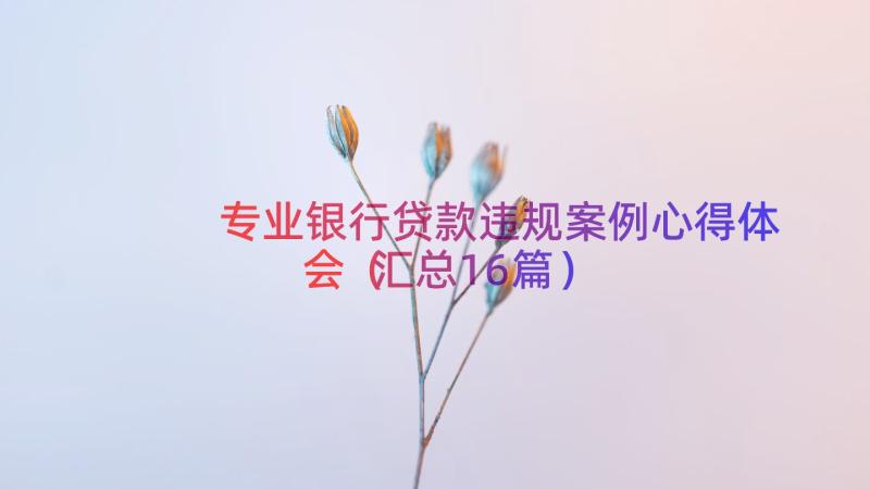 专业银行贷款违规案例心得体会汇总