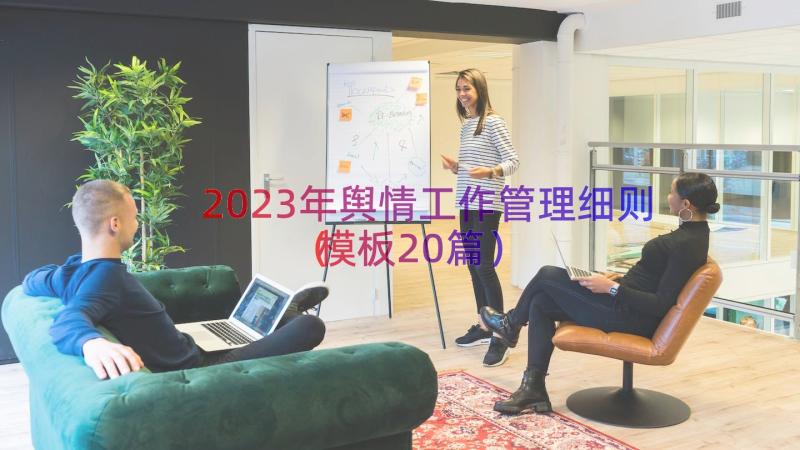 2023年舆情工作管理细则（模板20篇）