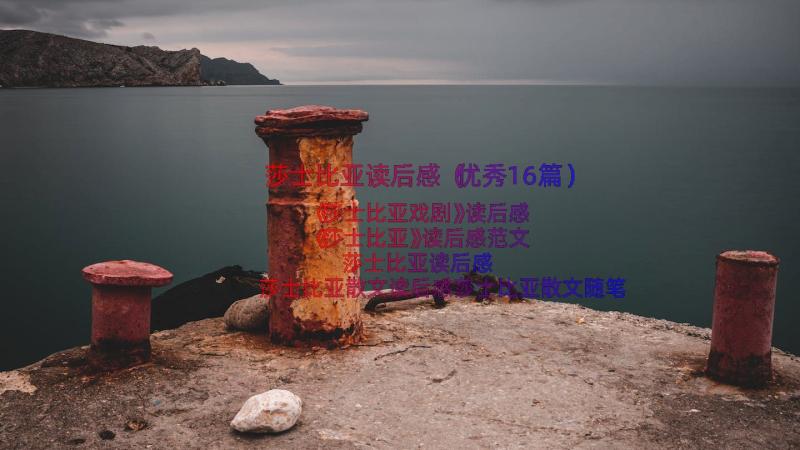 莎士比亚读后感（优秀16篇）