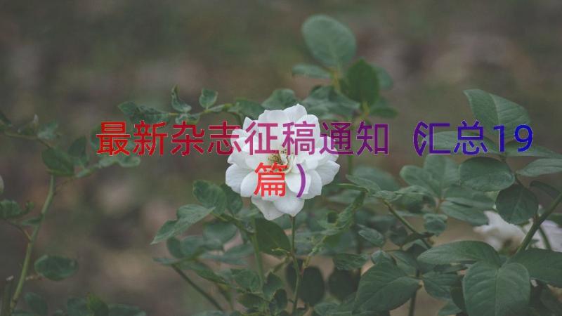 最新杂志征稿通知（汇总19篇）