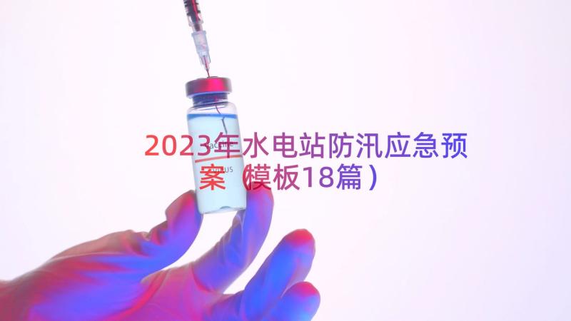 2023年水电站防汛应急预案（模板18篇）