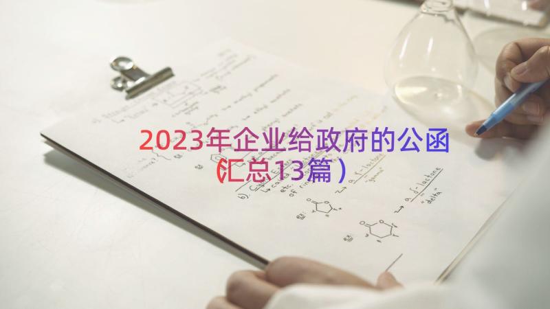 2023年企业给政府的公函汇总