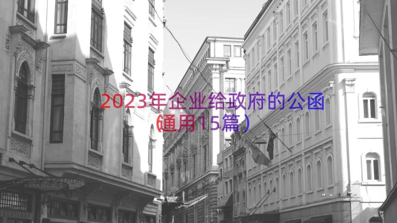 2023年企业给政府的公函（通用15篇）