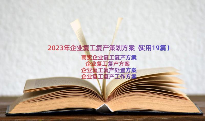 2023年企业复工复产策划方案（实用19篇）