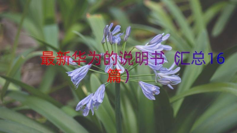 最新华为的说明书（汇总16篇）