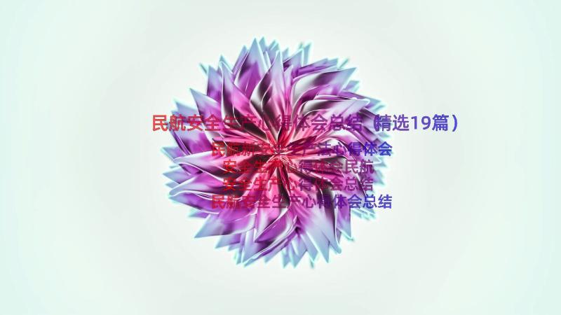 民航安全生产心得体会总结（精选19篇）