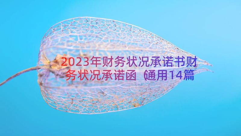 2023年财务状况承诺书财务状况承诺函（通用14篇）