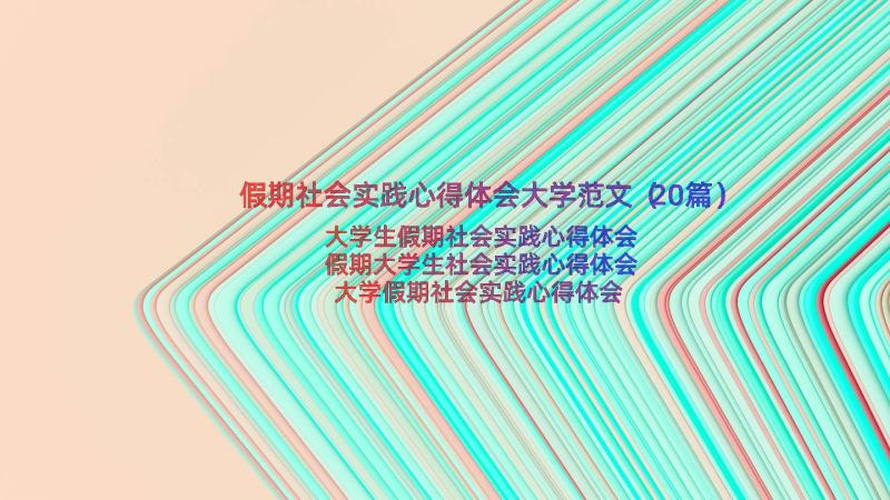 假期社会实践心得体会大学范文（20篇）