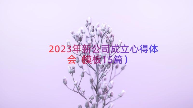 2023年新公司成立心得体会（模板15篇）