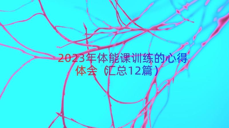 2023年体能课训练的心得体会（汇总12篇）