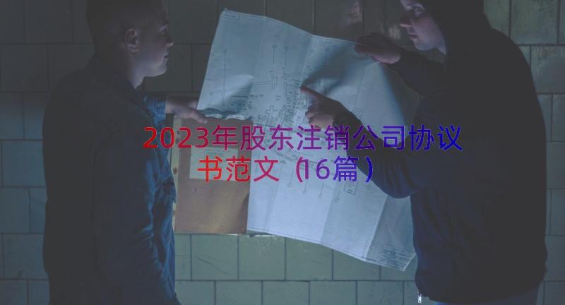 2023年股东注销公司协议书范文（16篇）