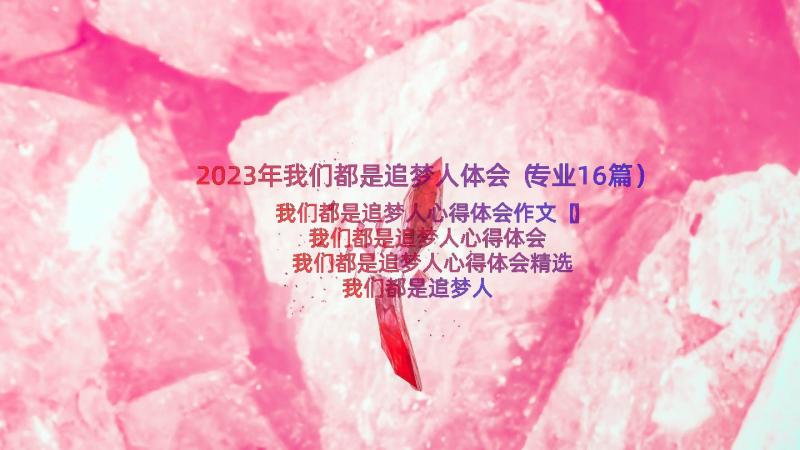 2023年我们都是追梦人体会（专业16篇）