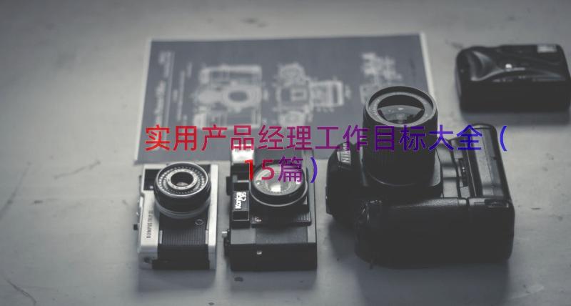 实用产品经理工作目标大全（15篇）