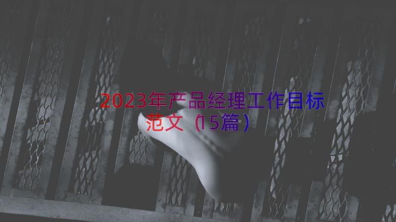 2023年产品经理工作目标范文（15篇）