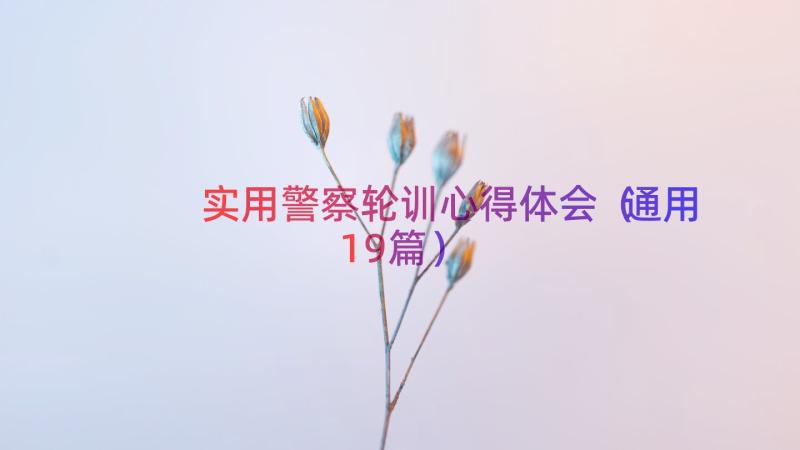 实用警察轮训心得体会（通用19篇）