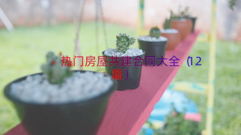 热门房屋共建合同大全（12篇）